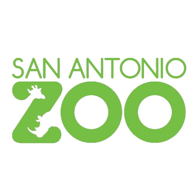 THE TOP 15 Things To Do in San Antonio (UPDATED 2024